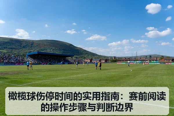 橄榄球伤停时间的实用指南：赛前阅读的操作步骤与判断边界